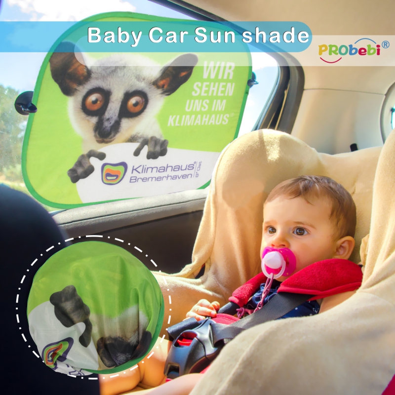 car sun shade